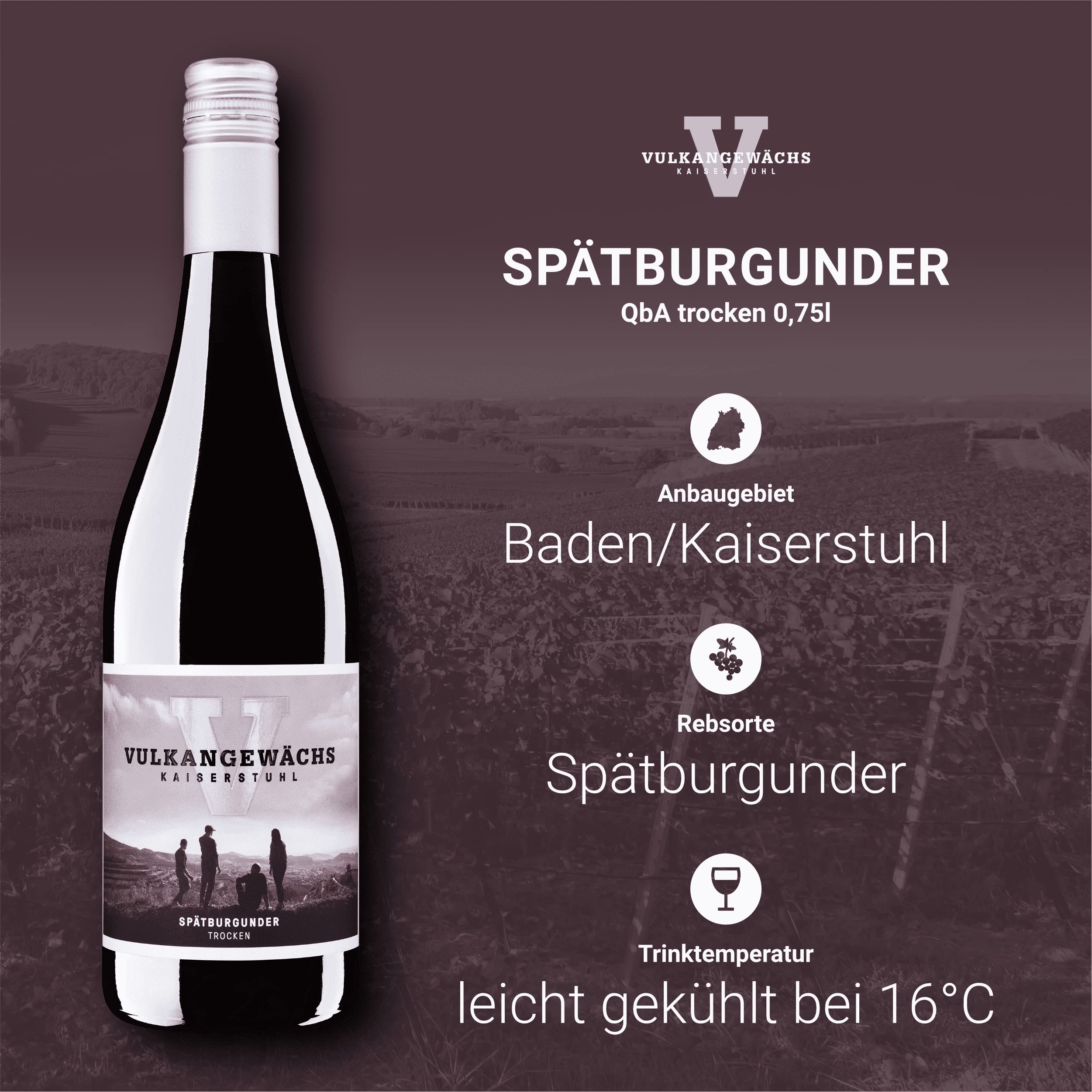 Vulkangewächs Kaiserstuhl Spätburgunder QbA trocken - SILBER 2025 AWC Vienna - Rotwein trocken, ausdrucksstark und kräftig im Geschmack - Badischer Wein (6 x 0,75 l)