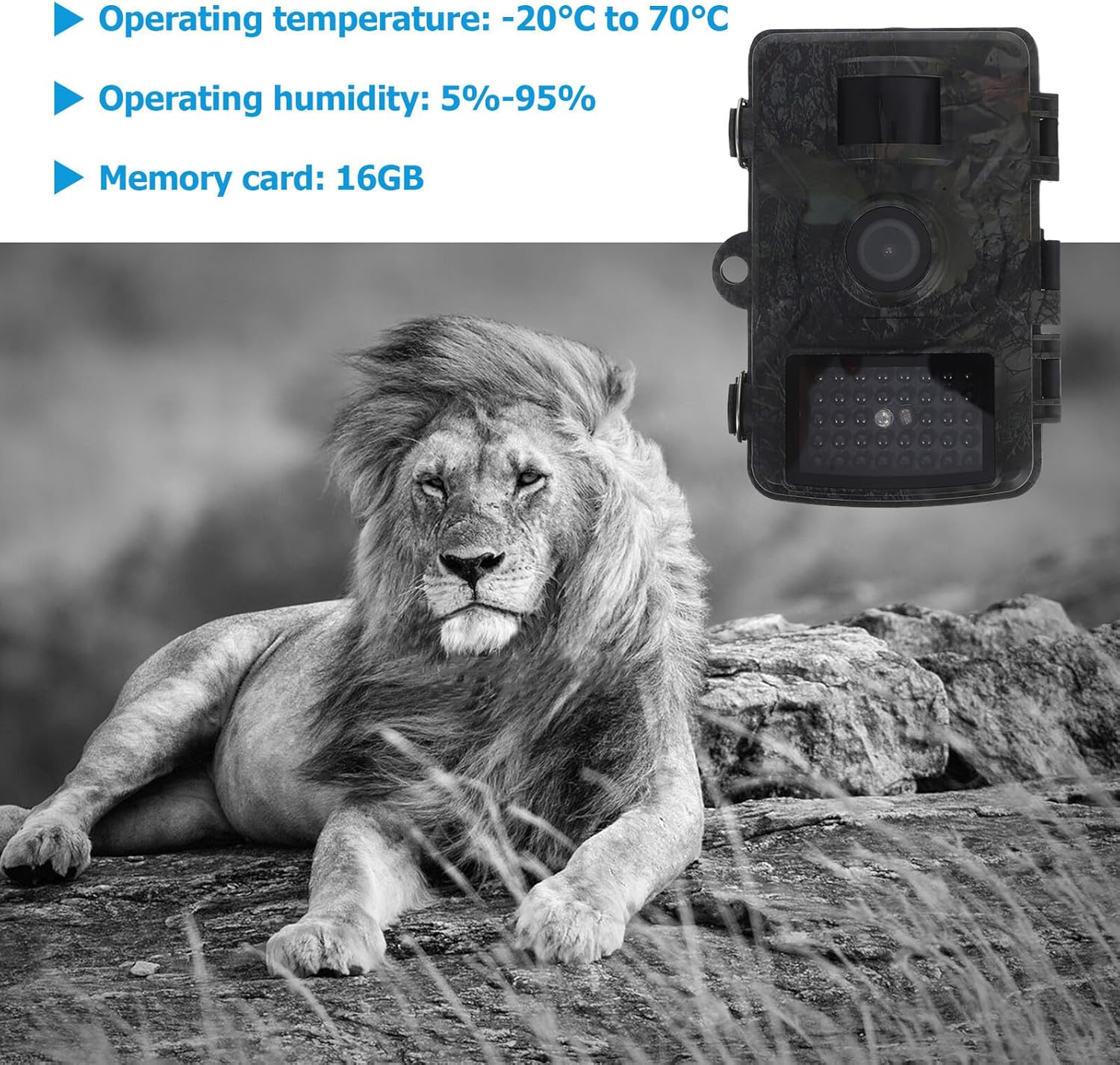 狩猟用野生動物観察カメラセット 1080Pカラースクリーン搭載 屋外耐候仕様 コンパクト設計 12MP撮影対応 スポーツとアウトド