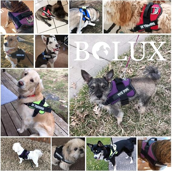 Bolux Dog Harness, No-Pull Reflective Dog Vest, Breathable Adjustable Pet Harness with Handle for Outdoor Walking - No More Pulling, Tugging or Choking (Army Yellow, XS)