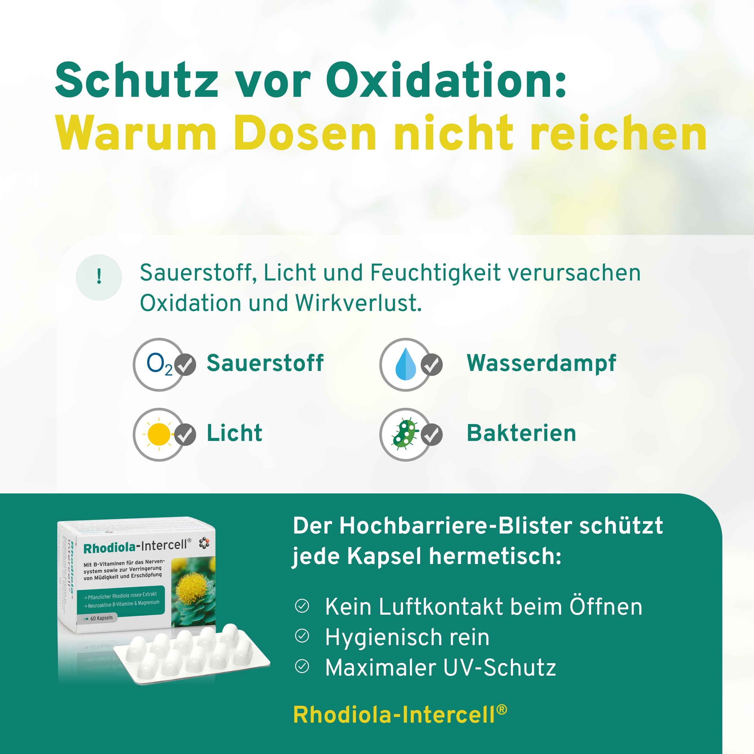 Rhodiola Intercell mit B-Vitaminen für das Nervensystem und Verringerung von Müdigkeit & Erschöpfung (60 Kapseln) - Rosea Extrakt mit Magnesium hochdosiert, Vitamin B1, B6, B12 & Vitamin D3