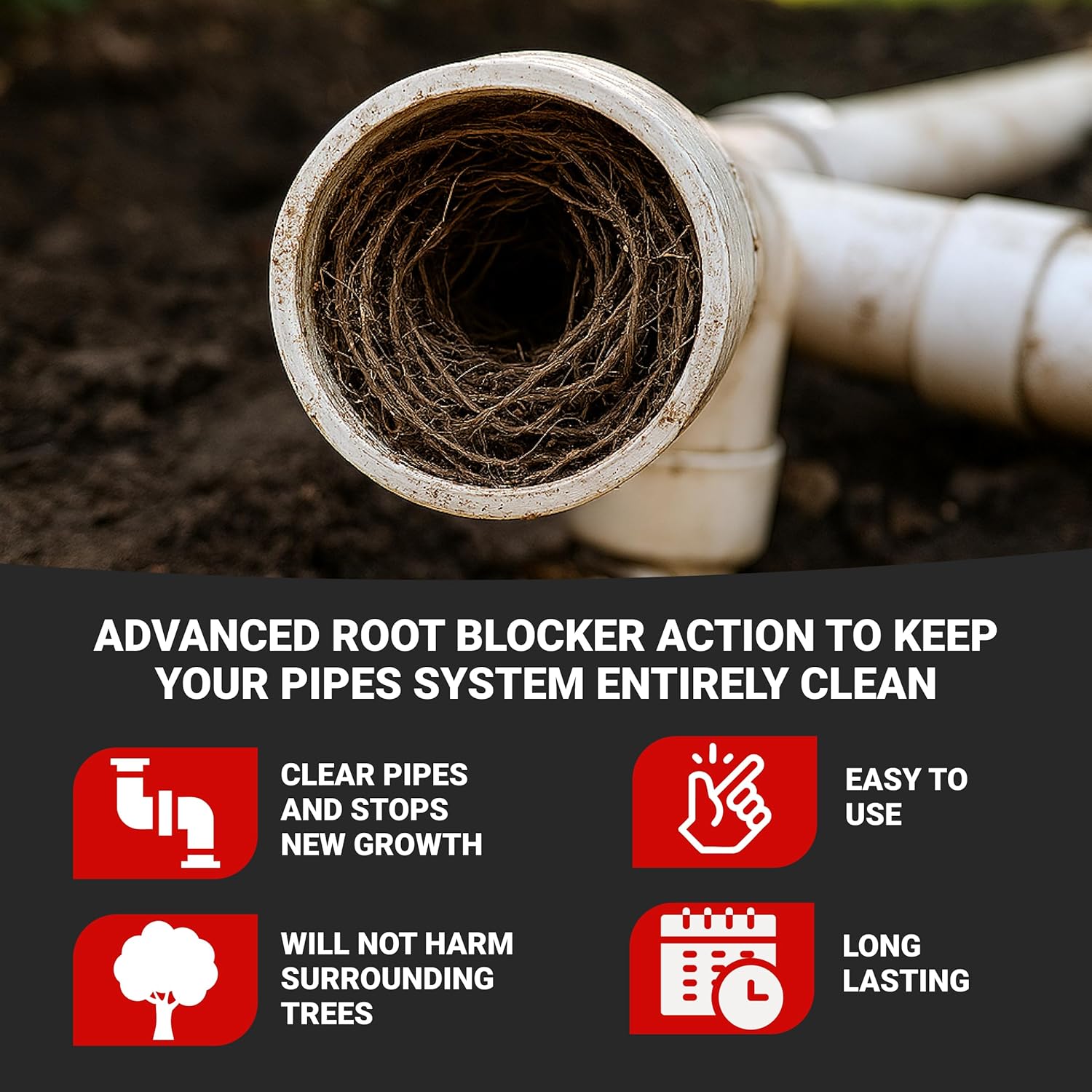 Sewer pipe clogged with tree roots