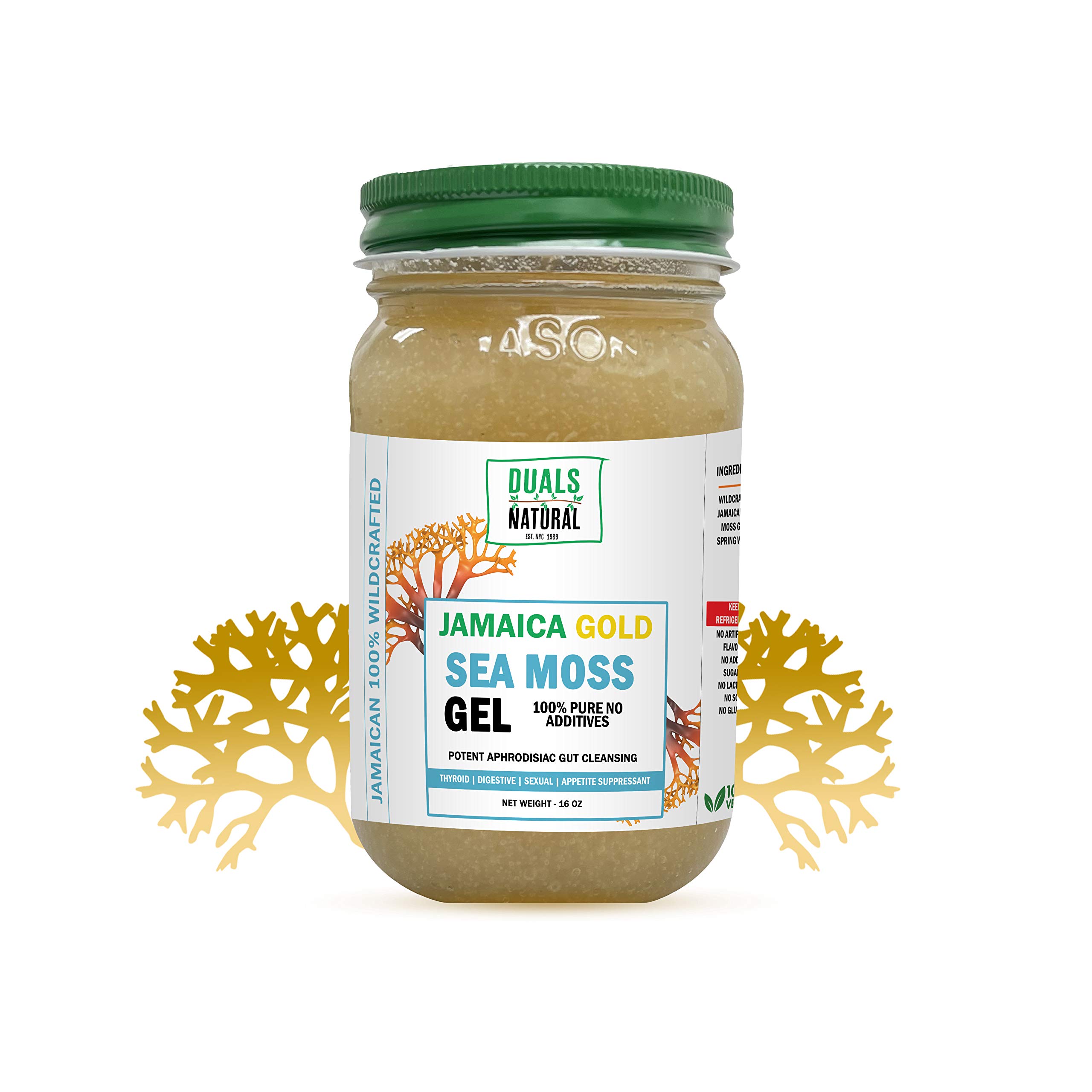 Buy Dualspices Wildcrafted Sea Moss Gel 16 Oz. Pure and Natural High