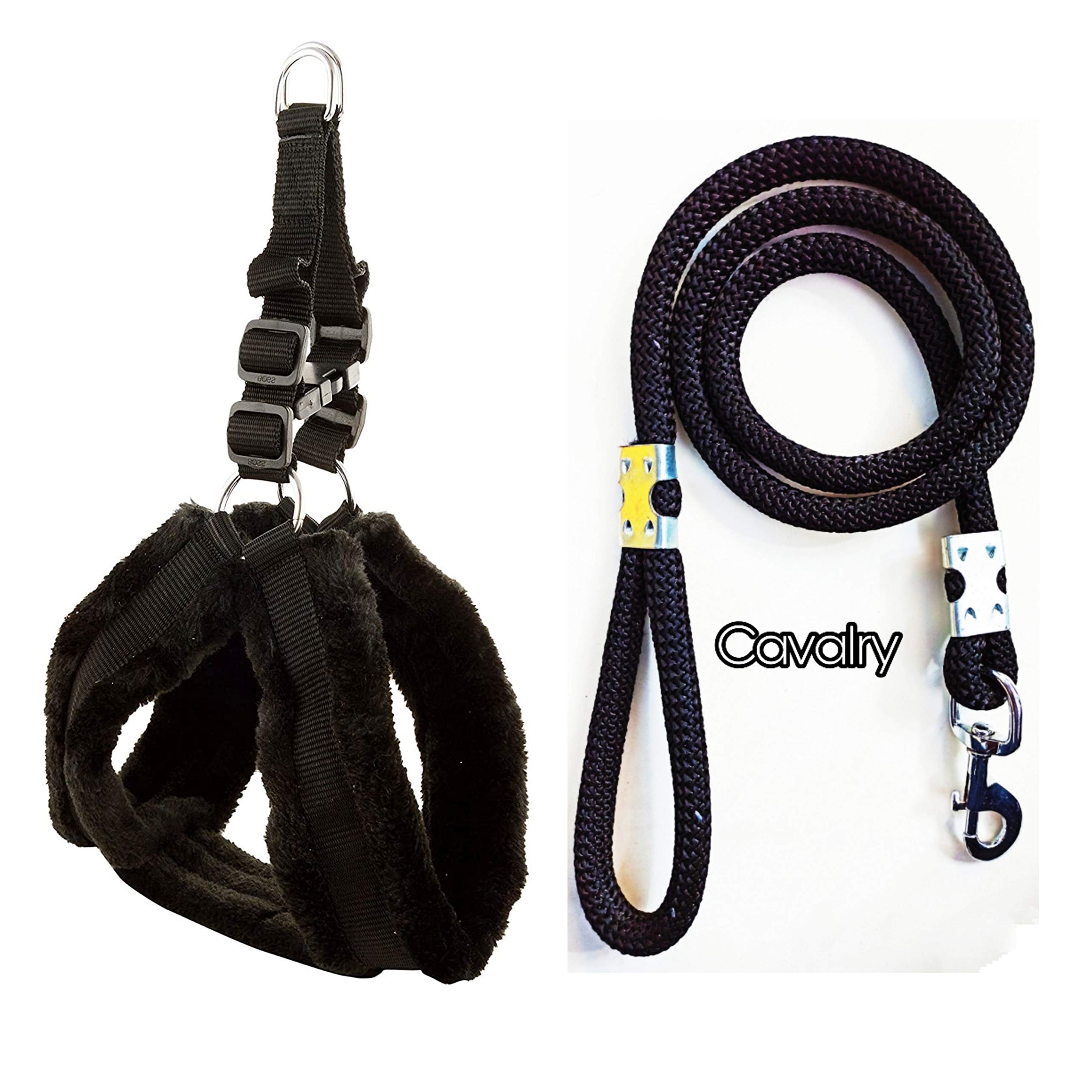 See full amazon price history chart for Cavalrys Feather Soft Padded Nylon Dog Harness & Leash Rope (Small, Black) Cavalrys Feather Soft Padded Nylon Dog Harness & Leash Rope (Small, Black) (B08TRCGHLY) Amazon Price History, Amazon Price Tracker