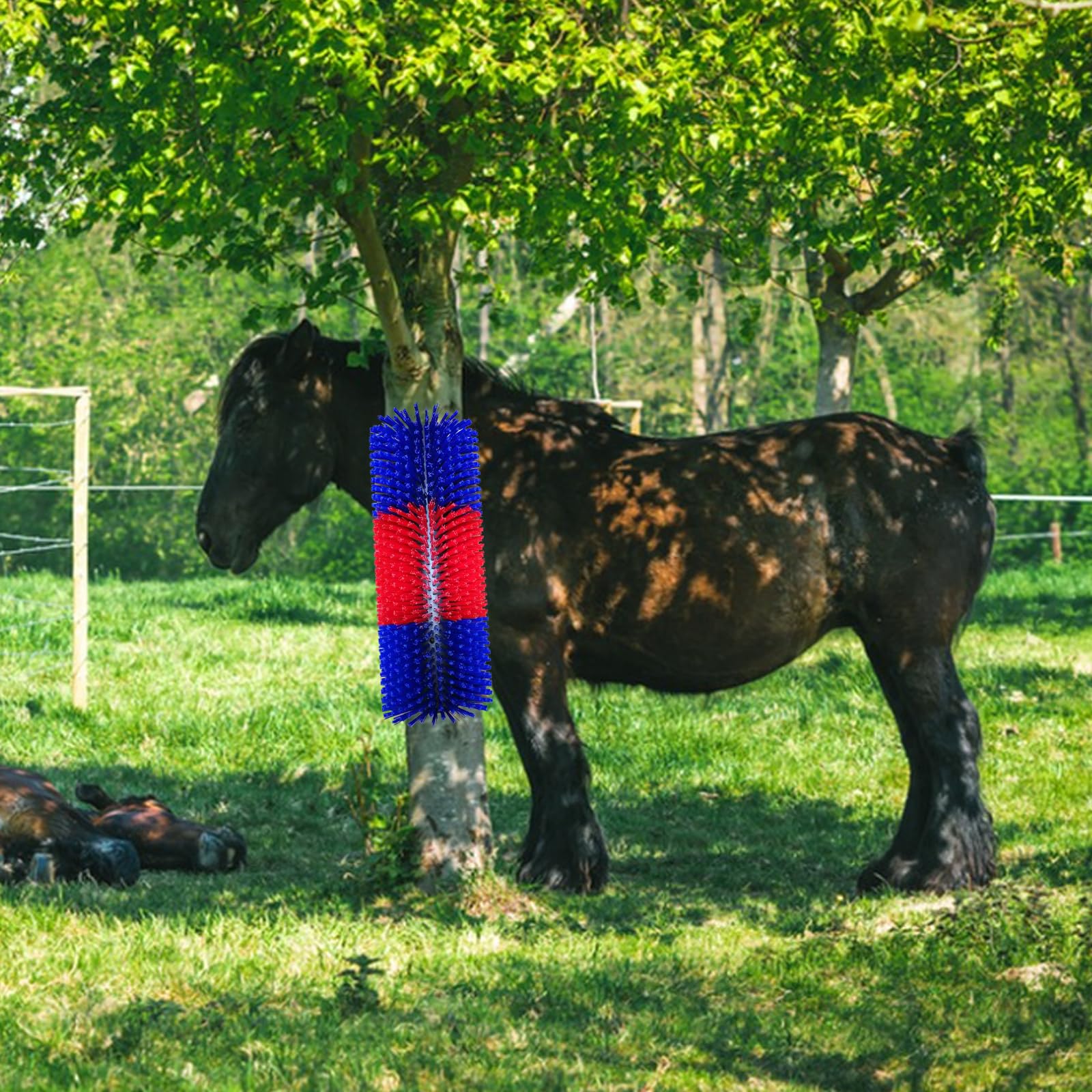 Brosse à Gratter pour Cheval Vache, Brosses à Cheval Semi-Rondes 40cm Brosses à Vache Brosse à Gratter Universelle Tapis à Gratter en Nylon, Rouge Bleu
