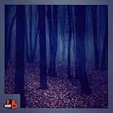 Relaxing Rain HD - Peaceful Rain Views