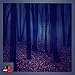 Relaxing Rain HD - Peaceful Rain Views