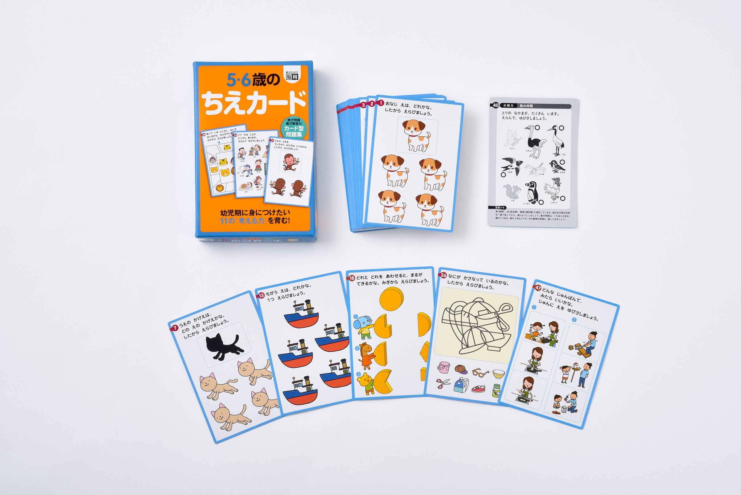 教育シリーズ 5年生 中古】 日本で学ぶアジア系外国人 研修生・留学生・就学生の生活と