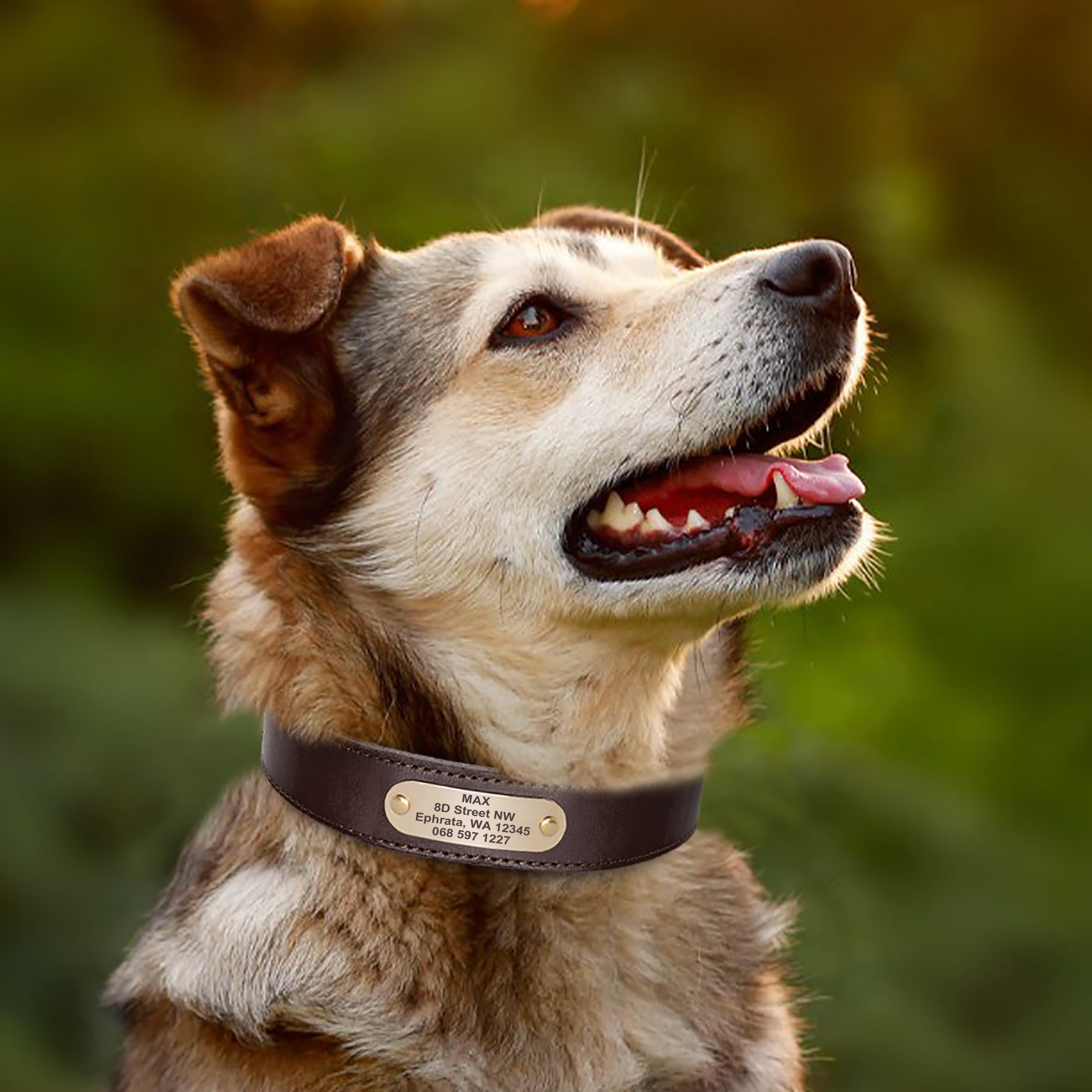 Didog - Collares para perro de piel auténtica con placa de nombre grabada, collar de perro de cuero suave personalizado con etiqueta de identificación personalizada