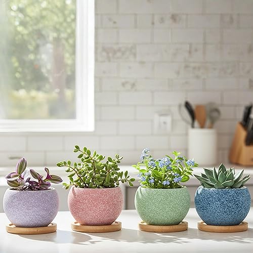 Miniatura 7 de Macetas Thriving Thicket de 3 pulgadas de cerámica para plantas, juego de macetas pequeñas para suculentas con drenaje, paquete de 6 macetas para