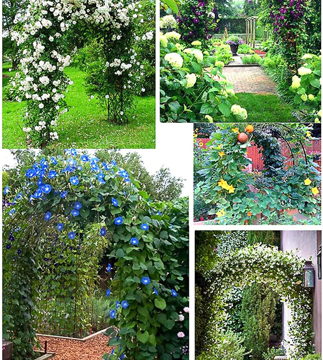 Rose Arches Metal Garden Arch Flower Stand with Base for Climbing Plants Support Archway Garden Decoration Wedding Lawn Party Ceremony Outdoor Gardening (Green 1.2x2.4m (W/H))