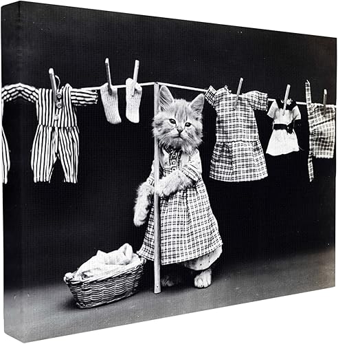 Stupell Industries Lienzo decorativo para pared con diseño de gatito hace la colada, fabricado con orgullo en Estados Unidos