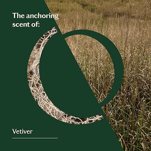 Miniatura 8 de LIVEDROPS 247 Well-Feeling - Aceite esencial de vetiver equilibrado, aroma de anclaje de vetiver, fabricado en Francia, puro y natural,