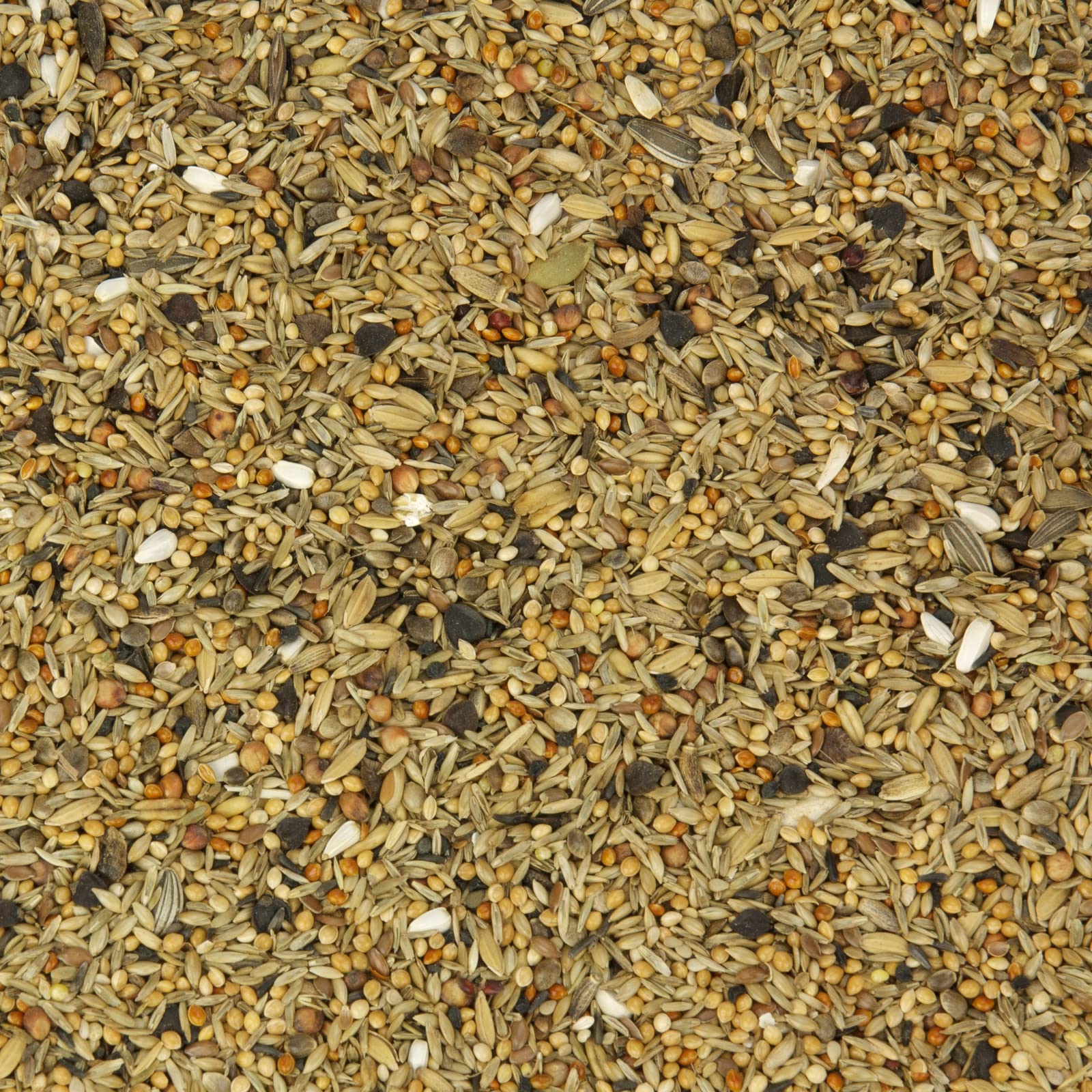 Nymphensittich-Fit feines Großsittich-Futter ohne Sonnenblumenkerne für Nymphensittiche Agaporniden Grassittiche 25 kg