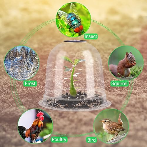Miniatura 5 de 20 unidades de cúpula pequeña para plantas de jardín, 7.68 pulgadas de diámetro x 6.7 pulgadas de alto, reutilizable, grueso, protector de plantas
