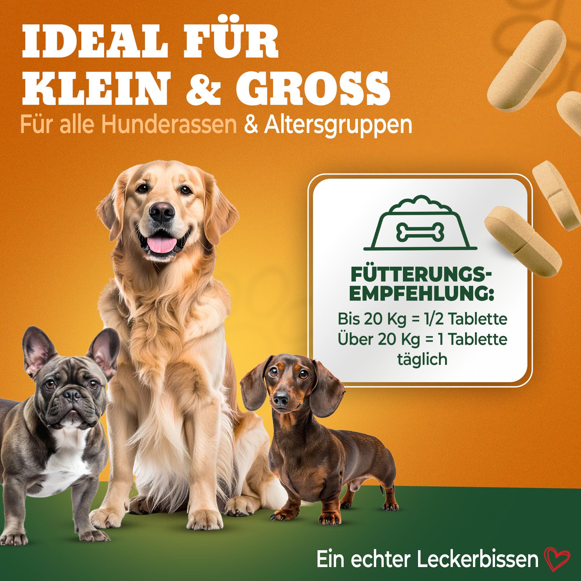 Gelenktabletten Hund - Grünlippmuschel Hund - Gelenkkomplex Vital Rezeptur mit Weihrauch Teufelskralle & MSM - Grünlippmuschel Kapseln - Unterstützt Gelenke & Beweglichkeit Made in Germany