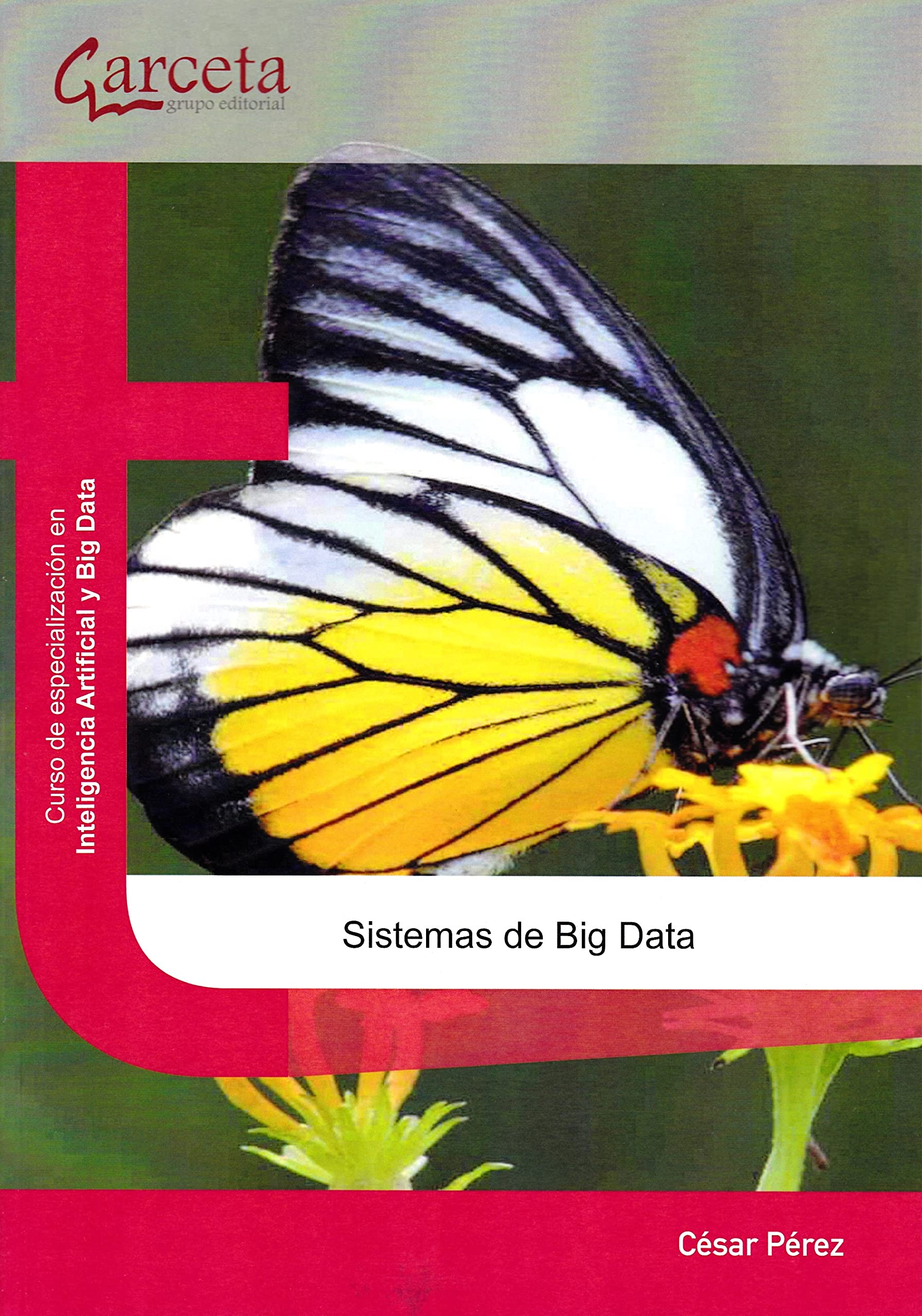 Sistemas de Big Data: Sistemas de Big Data (SIN COLECCION)