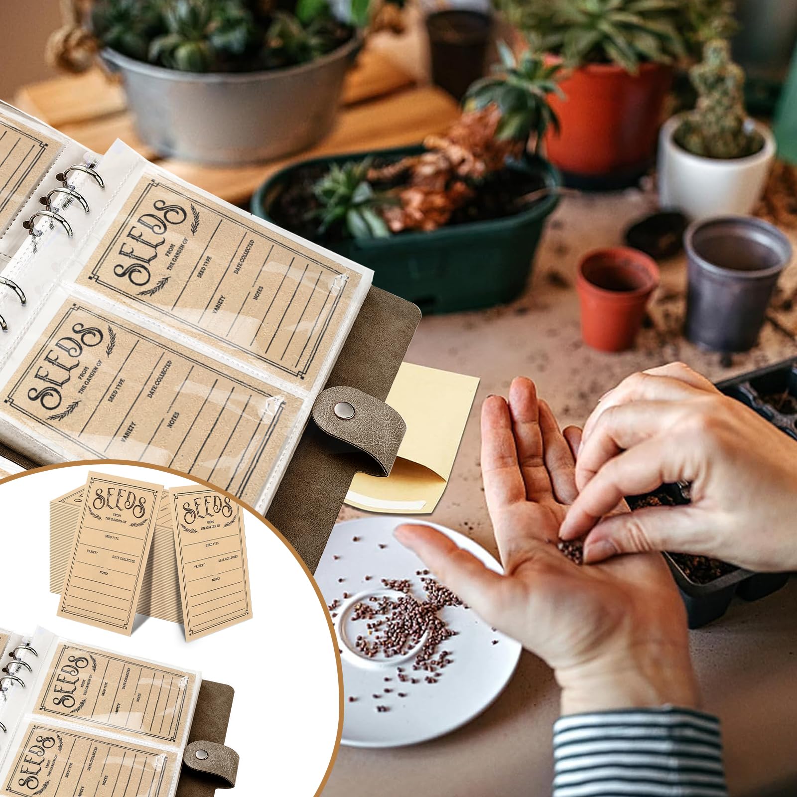 Lot de 100 enveloppes auto-adhésives pour rangement de semences de jardin, organiseurs, paquets d'économie, boîte, classeur de collection et organisation – Idéales pour chaque jardinier (marron)