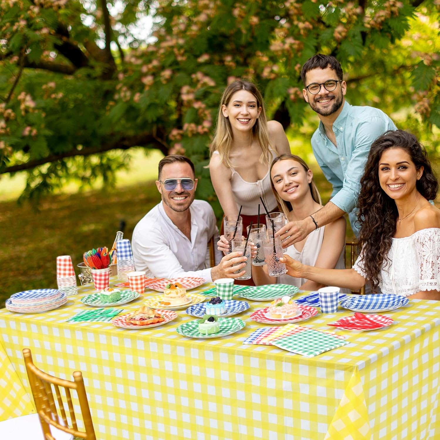 Havawish 285 Pcs Gingham Party Supplies Disposable Paper Plates Napkins Cups Knives Spoons Forks Tablecloth Banner for Birthday Family Dinner Picnic Barbecue Mother's Day Party