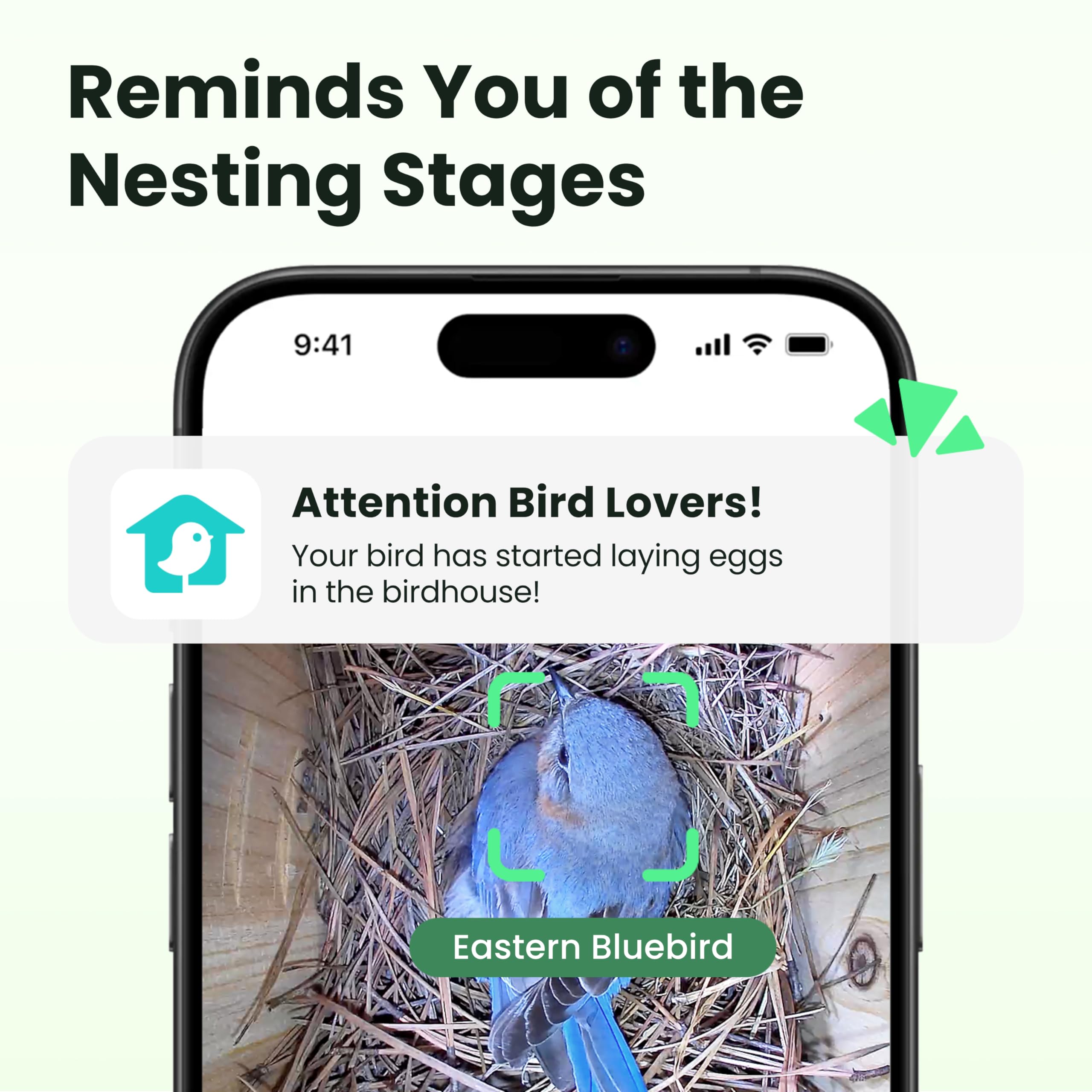 Birdfy Vogelhaus mit Kamera,Nistkasten mit Kamera, 2 Millionen Pixel Outdoor-Vogelhaus-Kamera, Echtzeitbeobachtung des Nestbaus und der Brut von Vögeln, AI-Erkennung des Vogelverhaltens