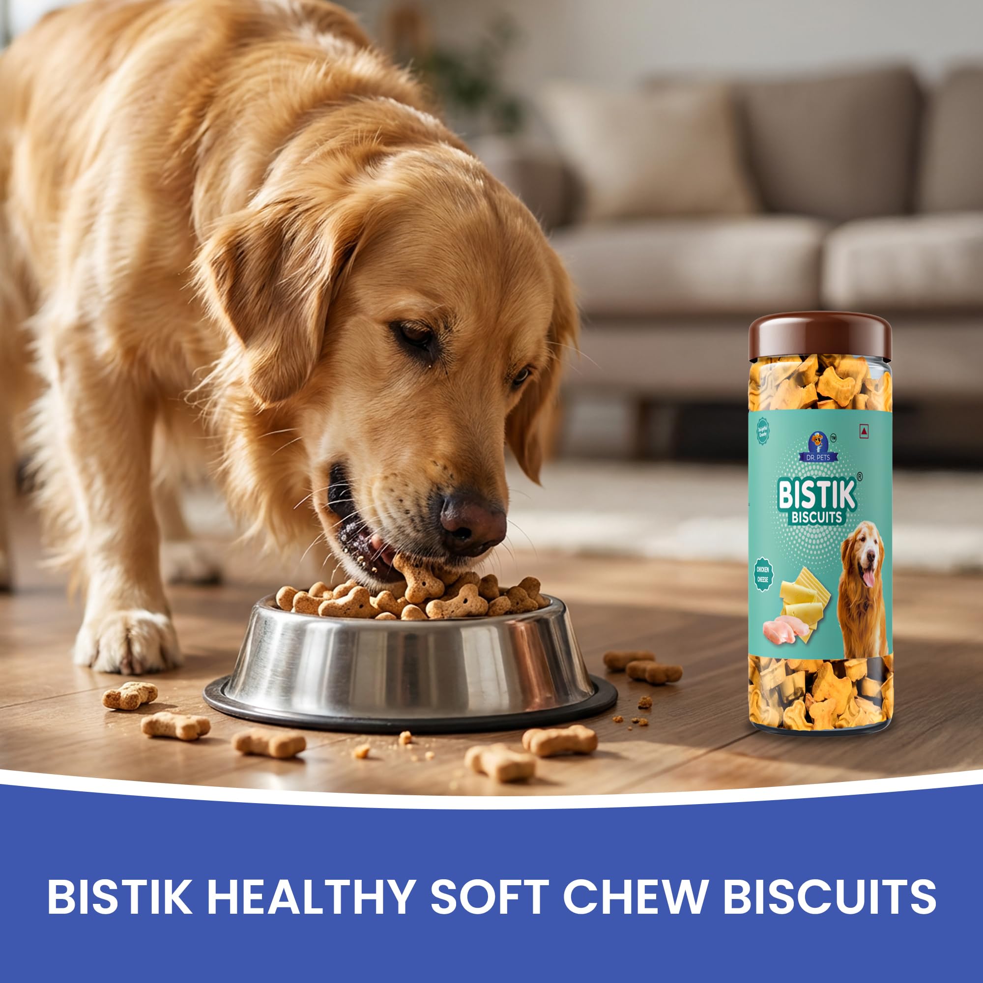 Dr. Pets 450g Bistik Dog Biscuits | Chicken Cheese Flavour | Gluten Free Dog Treats for Puppies & Adult Dogs | Crunchy Training Reward & Daily Snack | Jar Pack 2