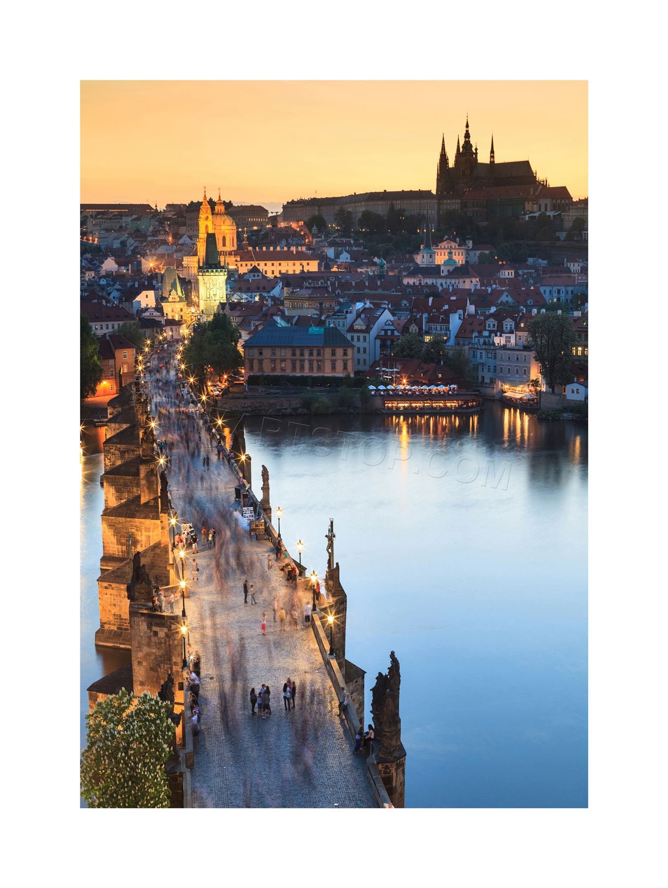 Wee Blue Coo Photo Vltava River Charles Bridge Prague Czech Republic Wall Art Print