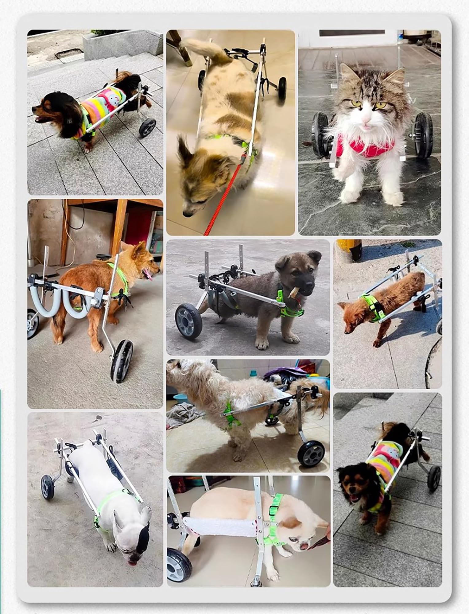 ペット用車椅子 アルミ製 調節可能 Amazon.co.jp: 調節可能なペット用移動用車椅子、アルミ合金製犬用移動
