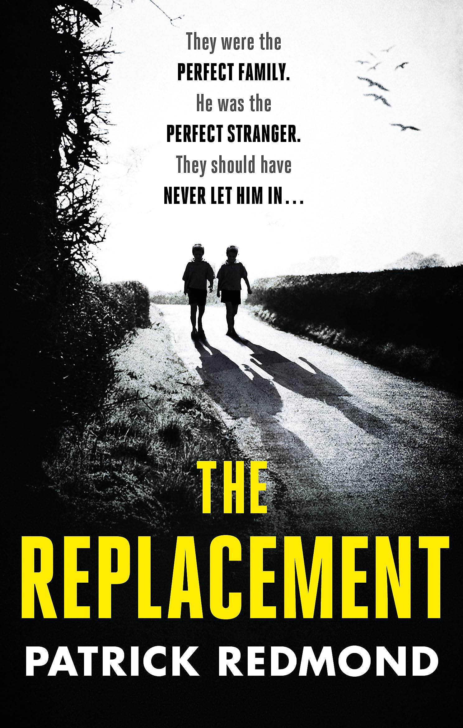 The Replacement: A gripping psychological thriller from the bestselling author of The Wishing Game
