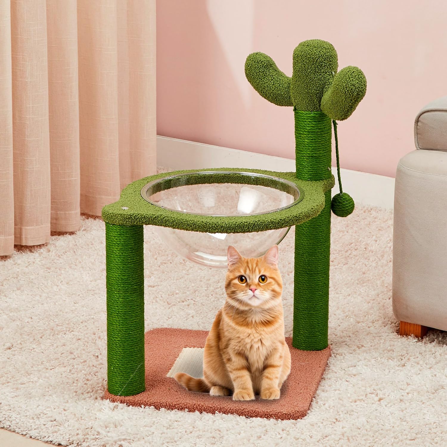 Amazon Basics Premium Imported Cactus Theme Cat Tree | 35-Inch | Large | Transparent Space Capsule | Scratching Posts for Adult Cats 3