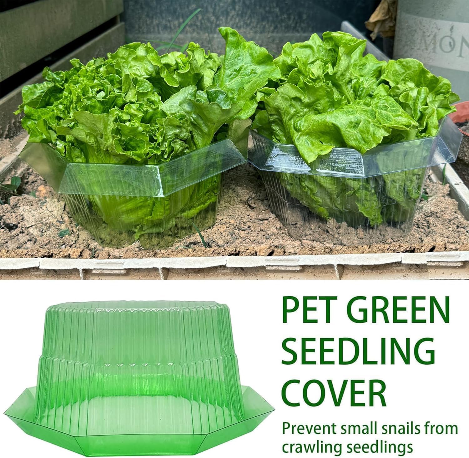 Colliers Protection Anti-Escargots Et Anti-Limaces Sunshine Smile - Lot De 10 Pour Protéger Vos Plantes Et Légumes