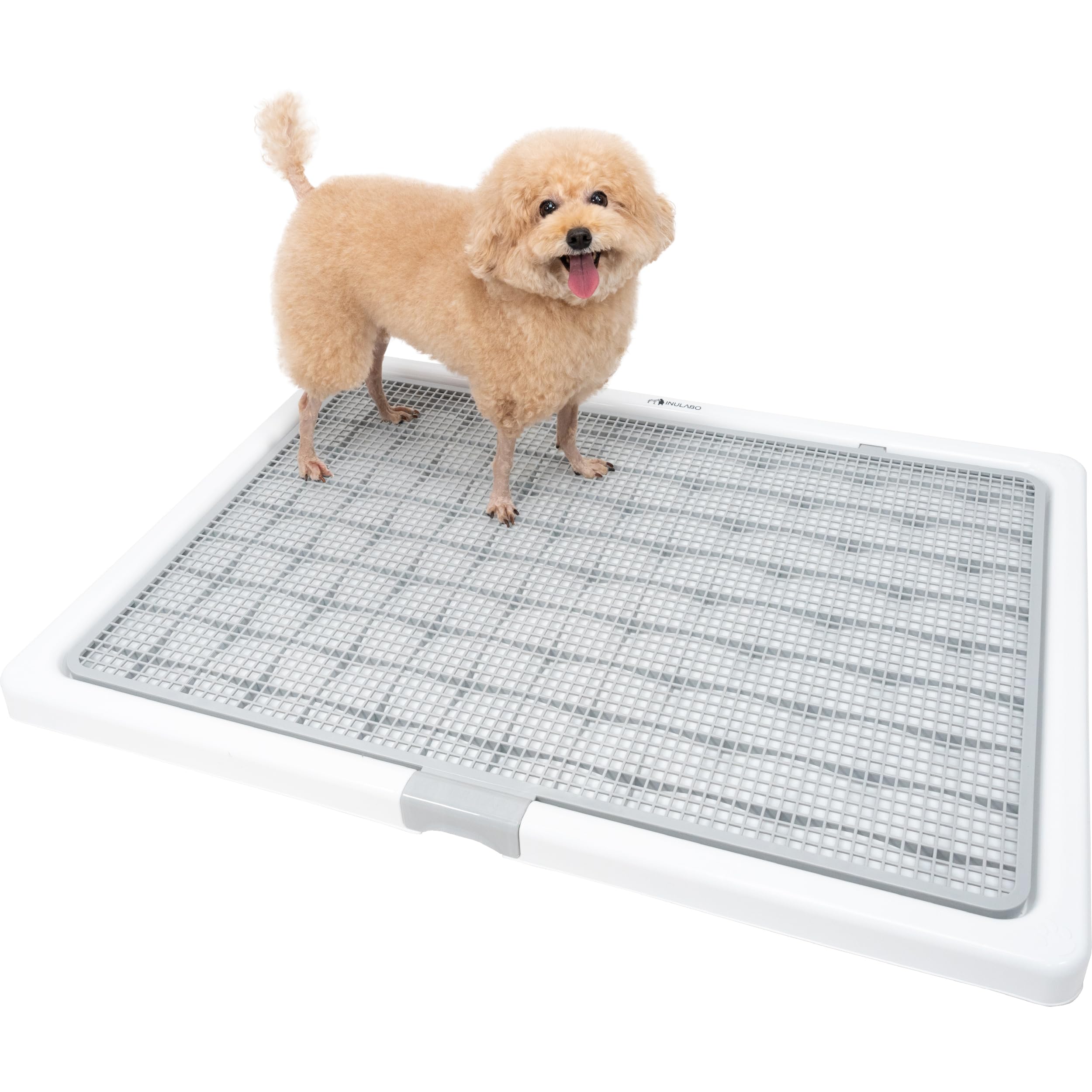 とも　　INULABO トイレトレー グレー XXL 高床式 犬用トイレ Amazon | INULABO(イヌラボ) 犬 トイレ 高床式 大型犬 中型犬 トレー