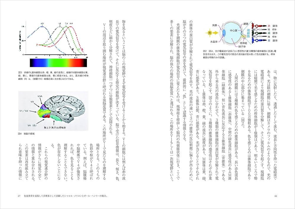 眼脳芸術論 眼科学と脳科学から解き明かす絵画の世界 眼脳芸術論 眼科学と脳科学から解き明かす絵画の世界/深作秀春