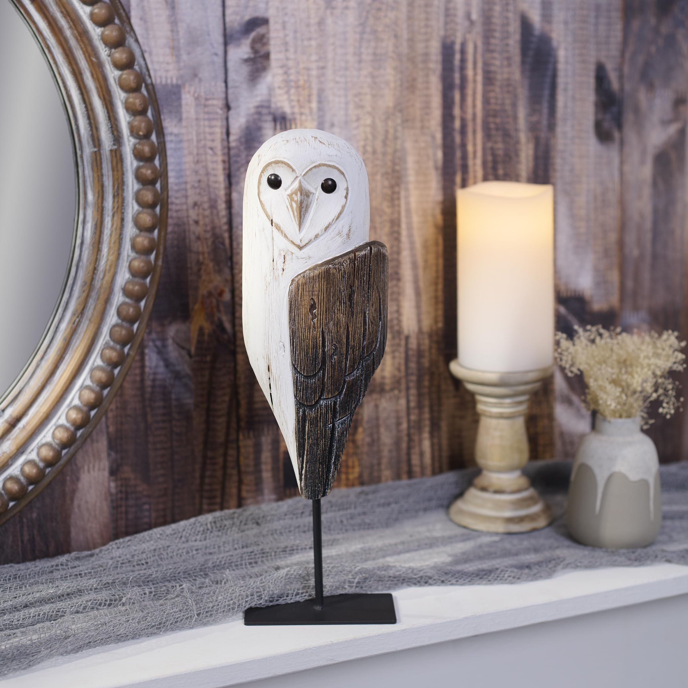 Amazon.com: Primitives by Kathy Sitter - Barn Owl, from Our