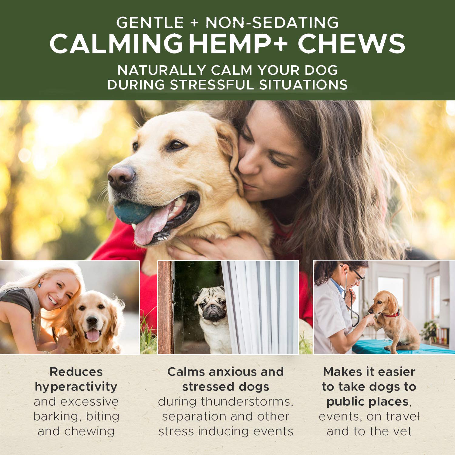 How Do I Calm My Dog In Public