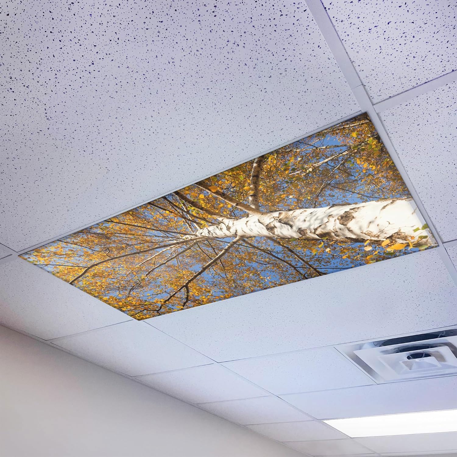 Magnetic Fluorescent Light Cover for Ceiling Lights Classroom 2x4 - High Resolution Magnetic Office Light Filter (Pack of 1) - Improve Focus,