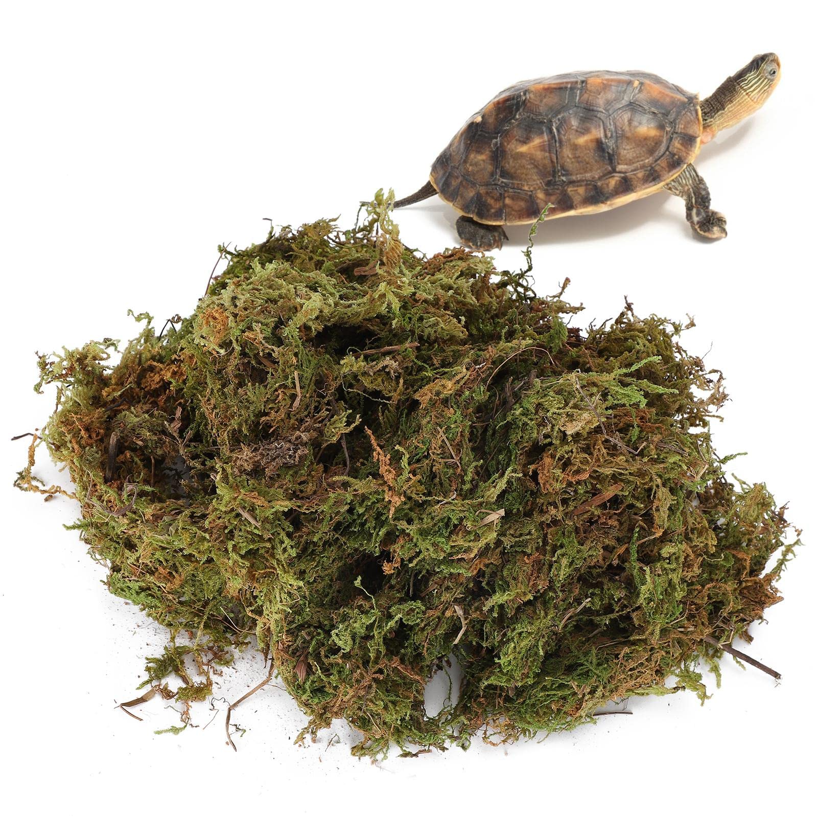 B&K B&K Natural Reptile Terrarium Moss, Substrate Turtle Tank Terrarium Moss - Green, 1000G/500G (500g)