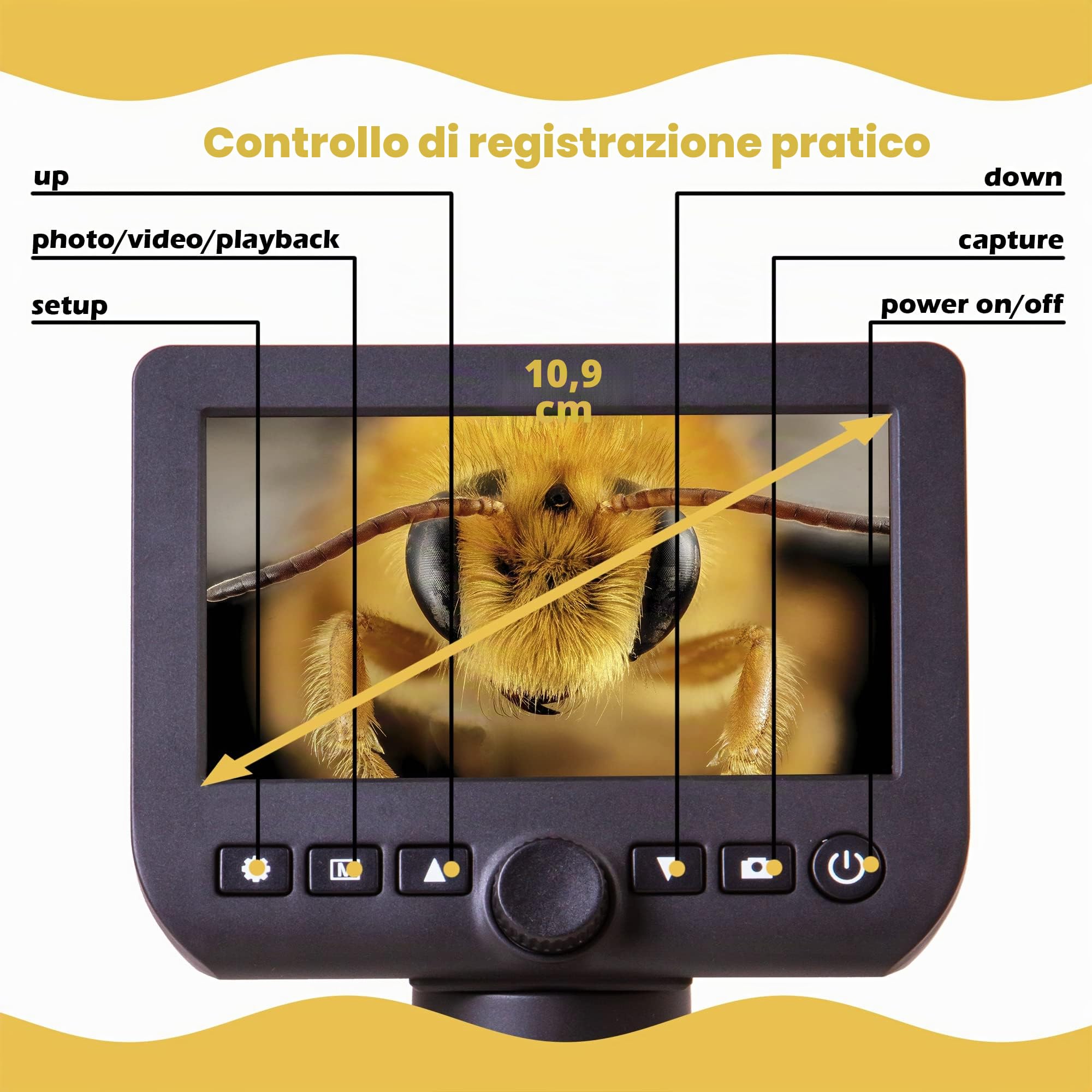Levenhuk DTX 350 LCD Microscopio Digitale Portatile USB con Ingrandimento Zoom 20–300x per Lavori di Precisione in Ambito Elettronico, Biologico, Zoologico e per la Gioielleria