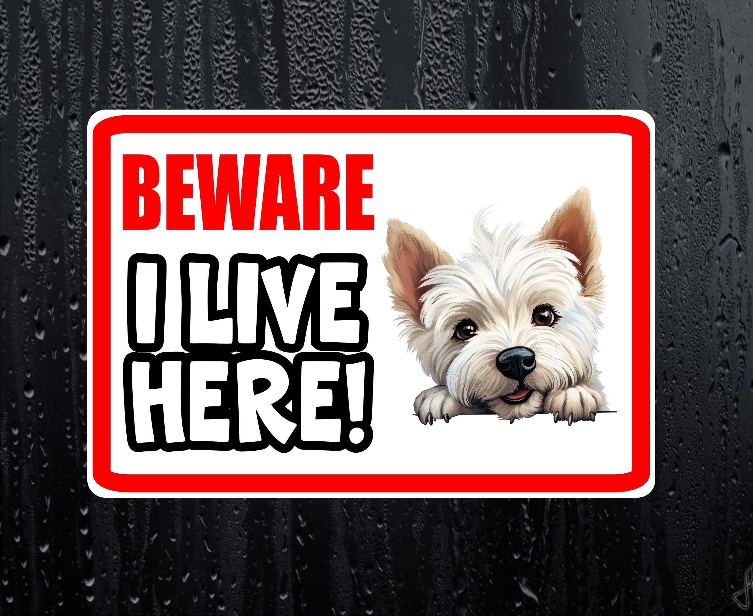 Decalarama Westie Sticker Beware I Live Here House Home Window Door Porch Printed Decal