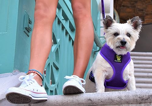 Miniatura 7 de EcoBark Arnés para perro de máxima comodidad diseño sin tirones y que evita estrangulamiento, lujoso chaleco acolchado, respetuoso con el medio