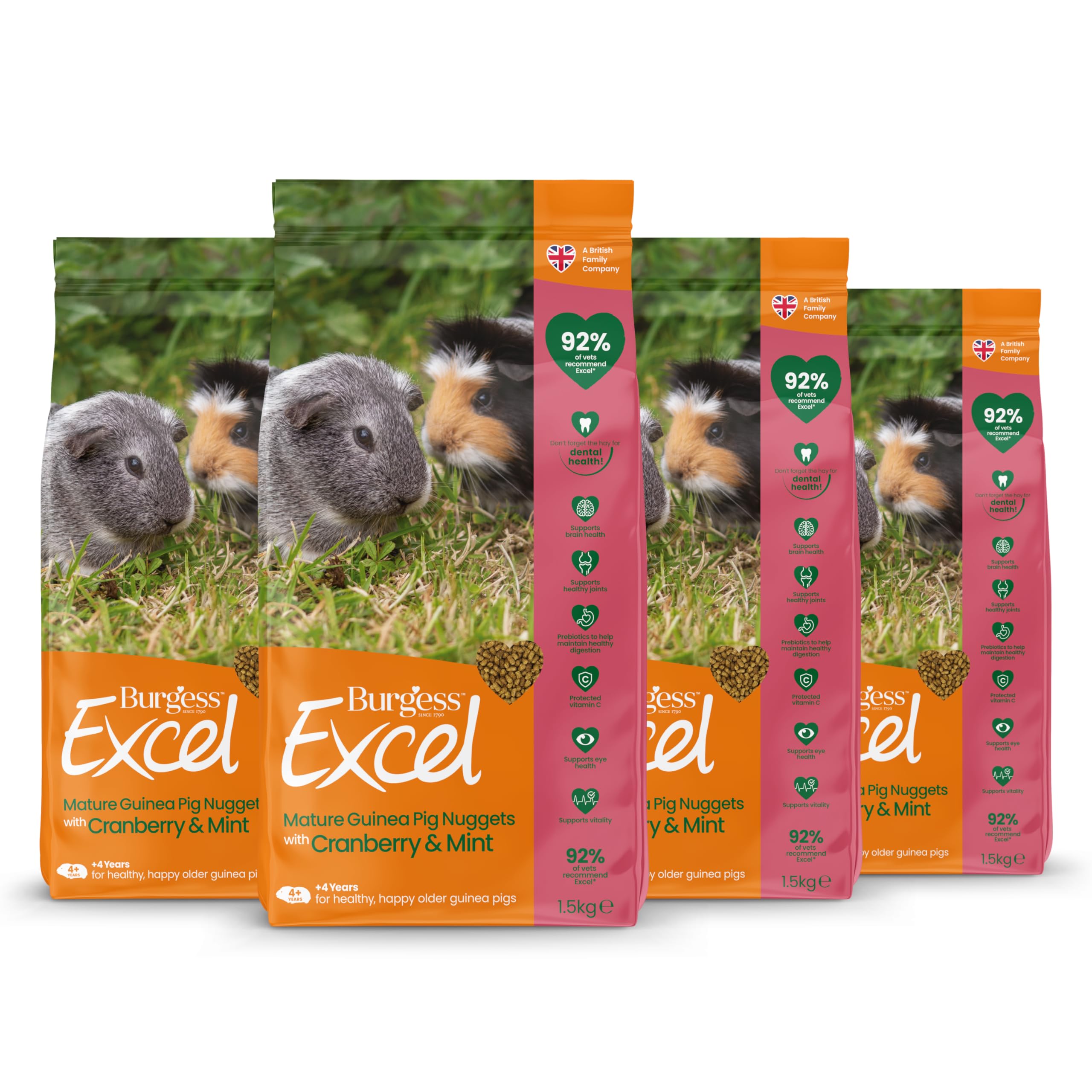 Burgess Excel Mature Guinea Pig Food with Cranberry & Mint, 6kg – Guinea Pig Nuggets for older Guinea Pigs – High Fibre, Senior Guinea Pig Pellets (Pack of 4)