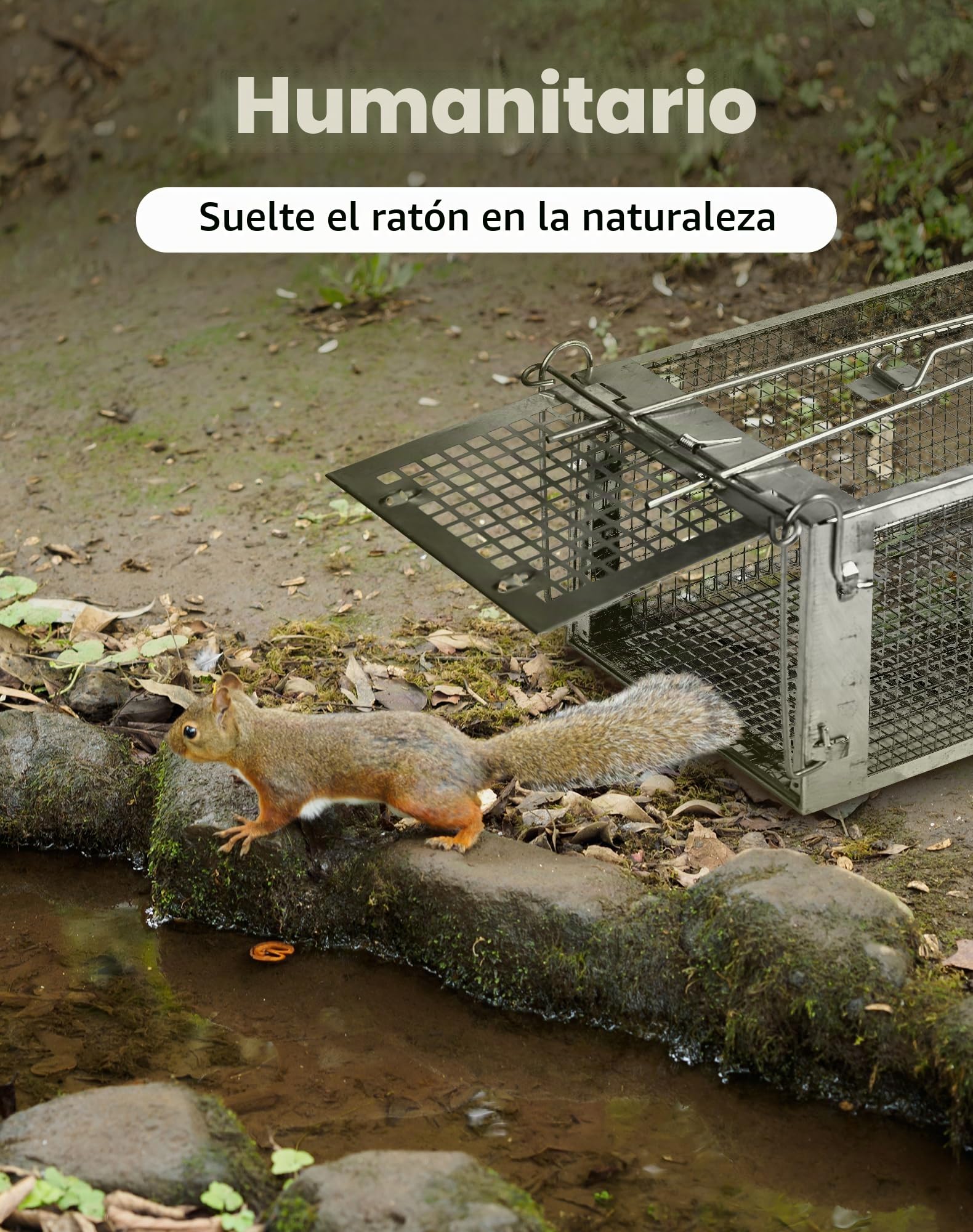 LAOYE Trampa para Ratas Jaula Atrapa Ratones 2 Pcs Trampas para Ratas Ratones de Campo Roedores Profesional Exterior - Jaulas Captura Trampa para Ratas Interior Reutilizable de Metal Tamaño Grande