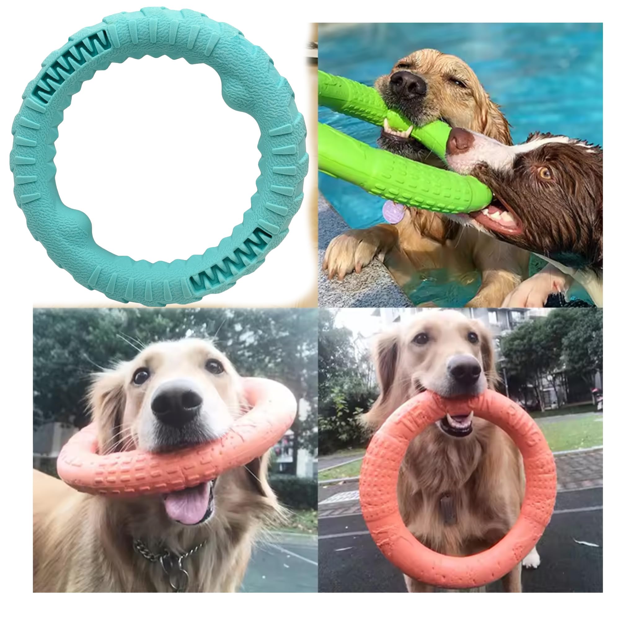 Pet Guru® Pet Dog Training Ring Anti-Bite Floating Toy Puppy Summer Pet Training Outdoor Durable Chew interactive Training Activity Toy (SEA BLUE - Image 4