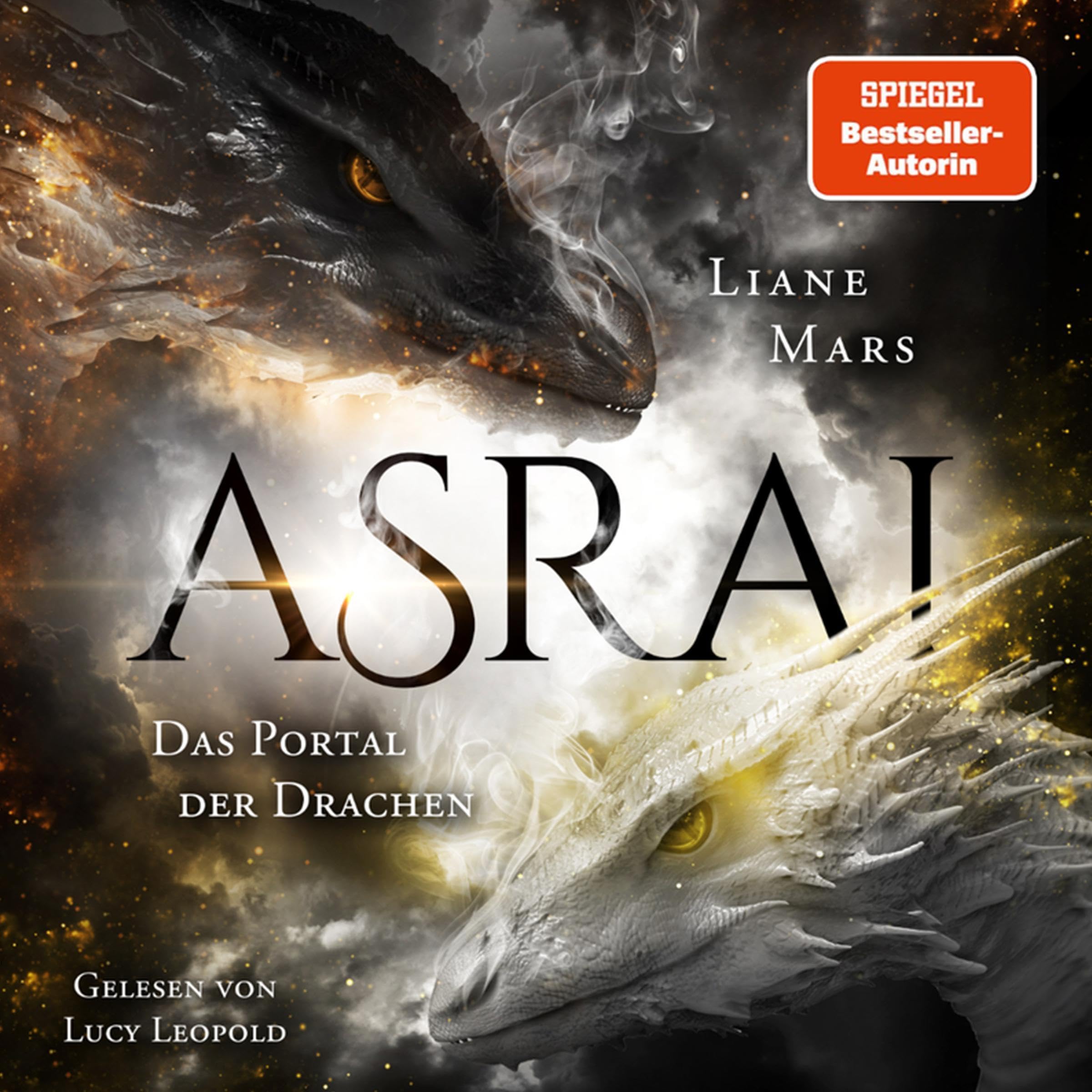Cover art for Das Portal der Drachen