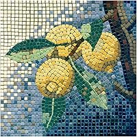 Vista 32 de Kit de mosaico para principiantes, perfecto para tu primer proyecto de mosaico, pato cuadrado de 7 pulgadas (20cm)