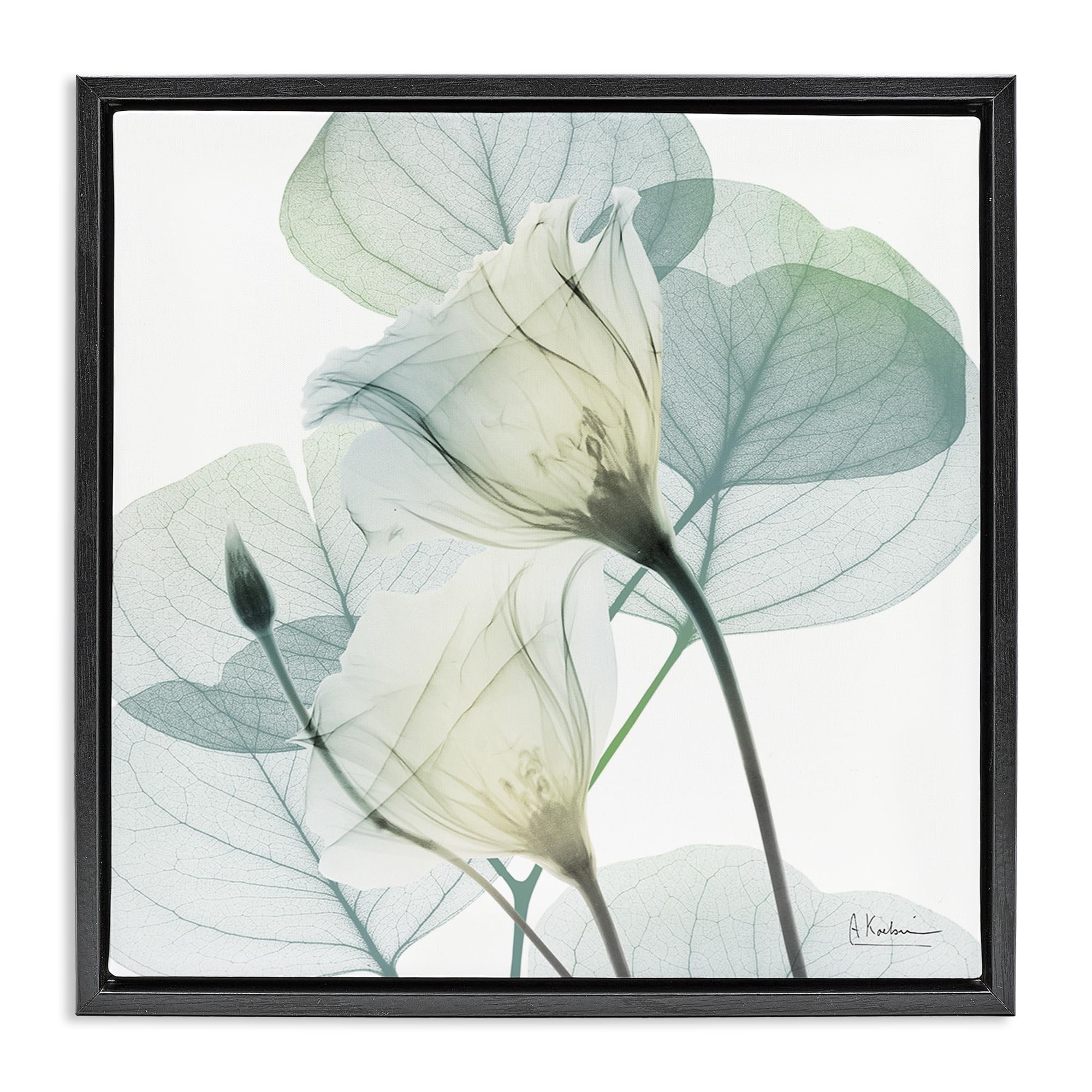 Stupell Industries Delicate Translucent Floral Petals 'Divine Fate Petals'| Floating Frame Canvas Art