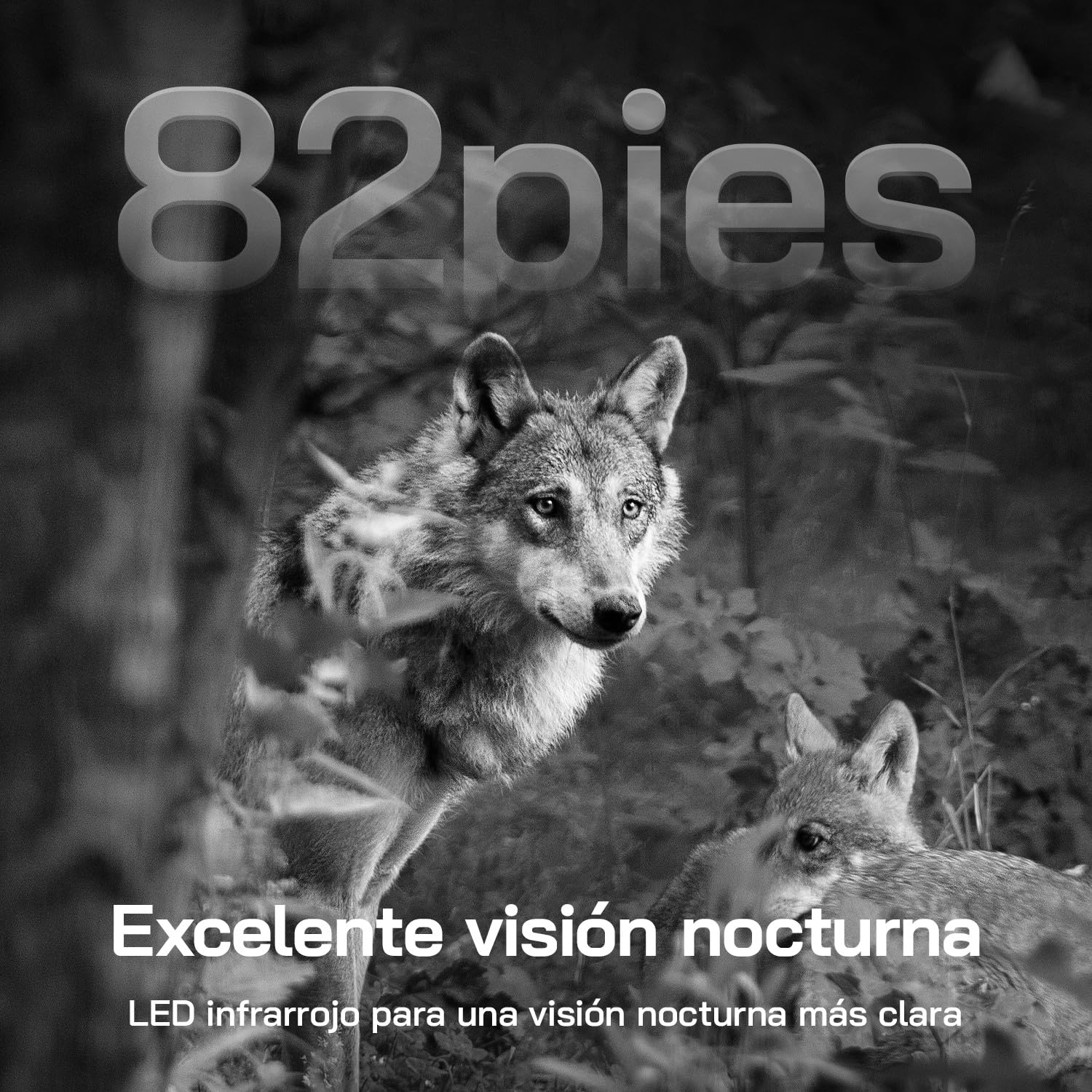 WOLFANG Cámara de Caza Solar, 4G LTE Camara Fototrampeo 2.5K con Detección PIR Nocturna por Infrarrojos Invisible, Alerta, Audio Bidireccional, IP66 para Vida Silvestre y Monitoreo de Seguridad