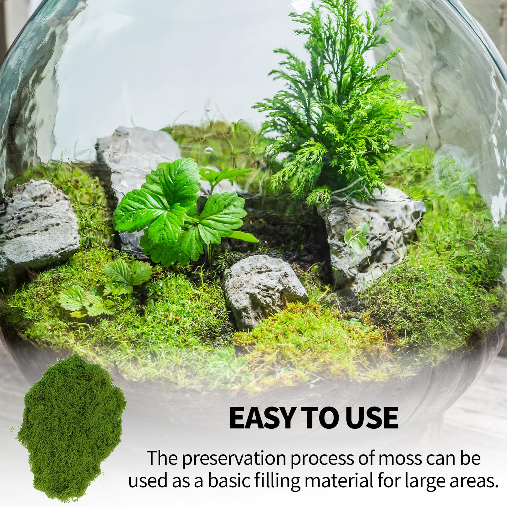 205 g, muschio per fai da te, muschio artificiale, muschio islandese, muschio islandese, presepe terrario, Moss acquista muschio naturale, decorazione, arte finte, decorazione per pareti, presepi