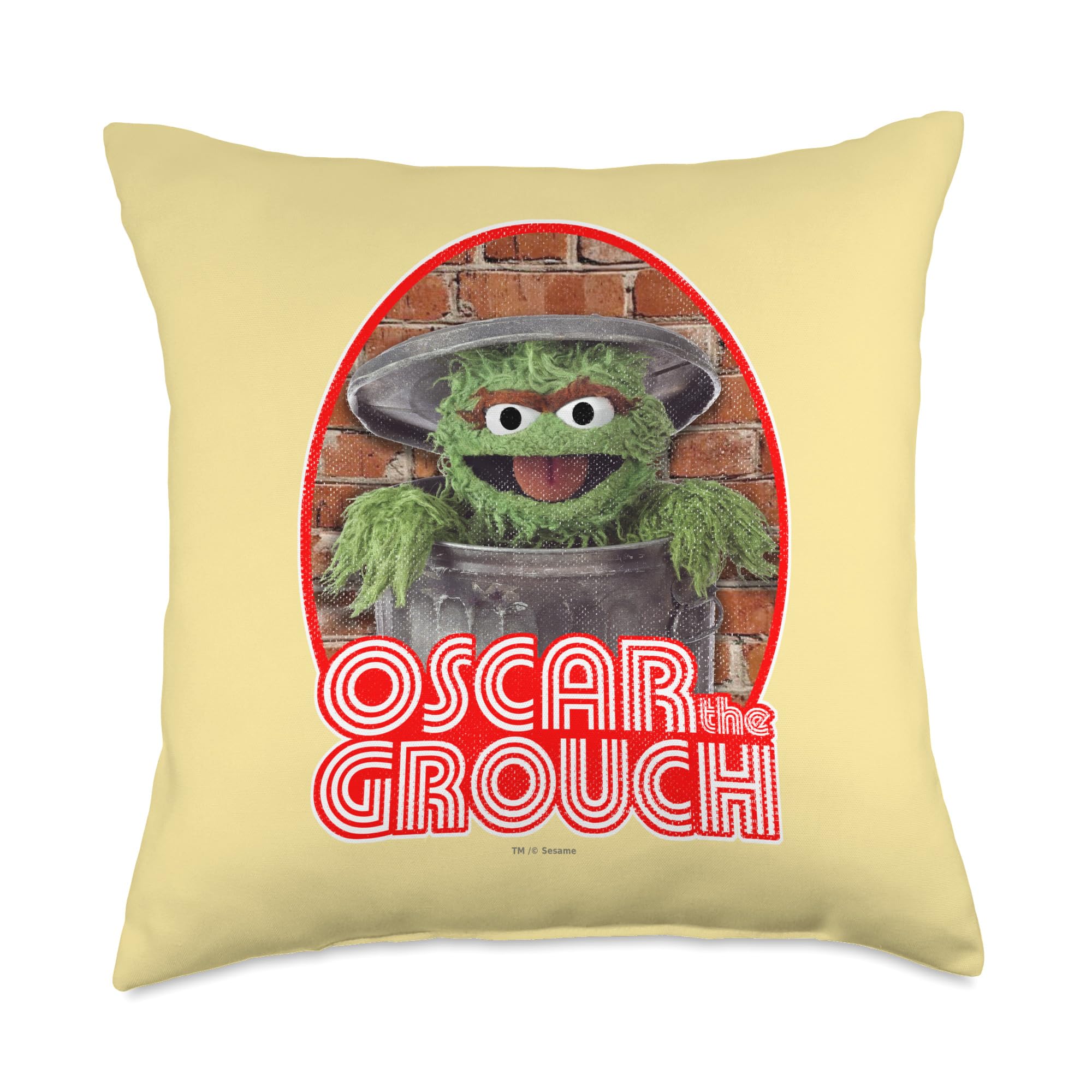 Coussin Sesame Street Oscar multicolore 18x18 pour soulager le dos sur un fauteuil