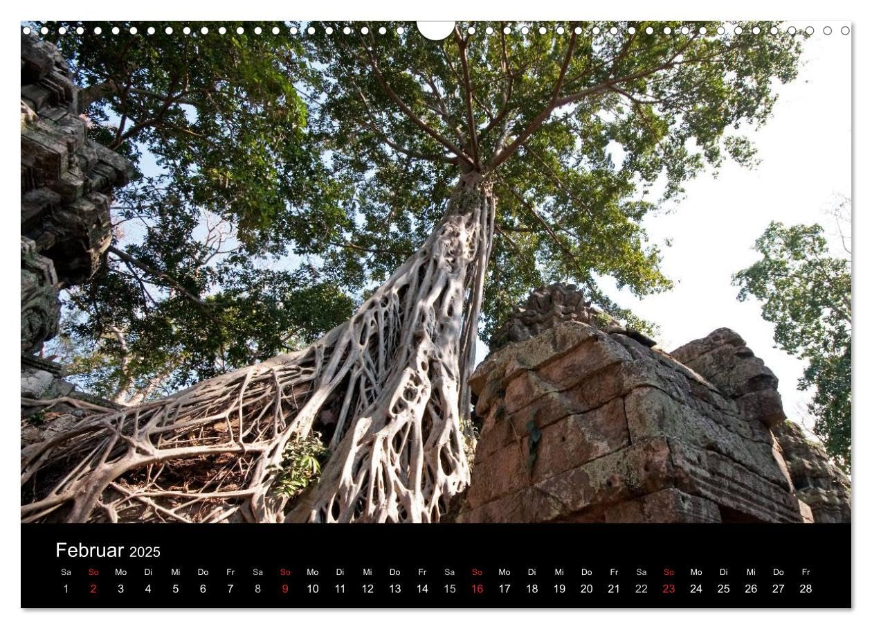 Khmertempel in Kambodscha (Wandkalender 2025 DIN A3 quer), CALVENDO Monatskalender: Im Würgegriff des Dschungels (CALVENDO Orte)