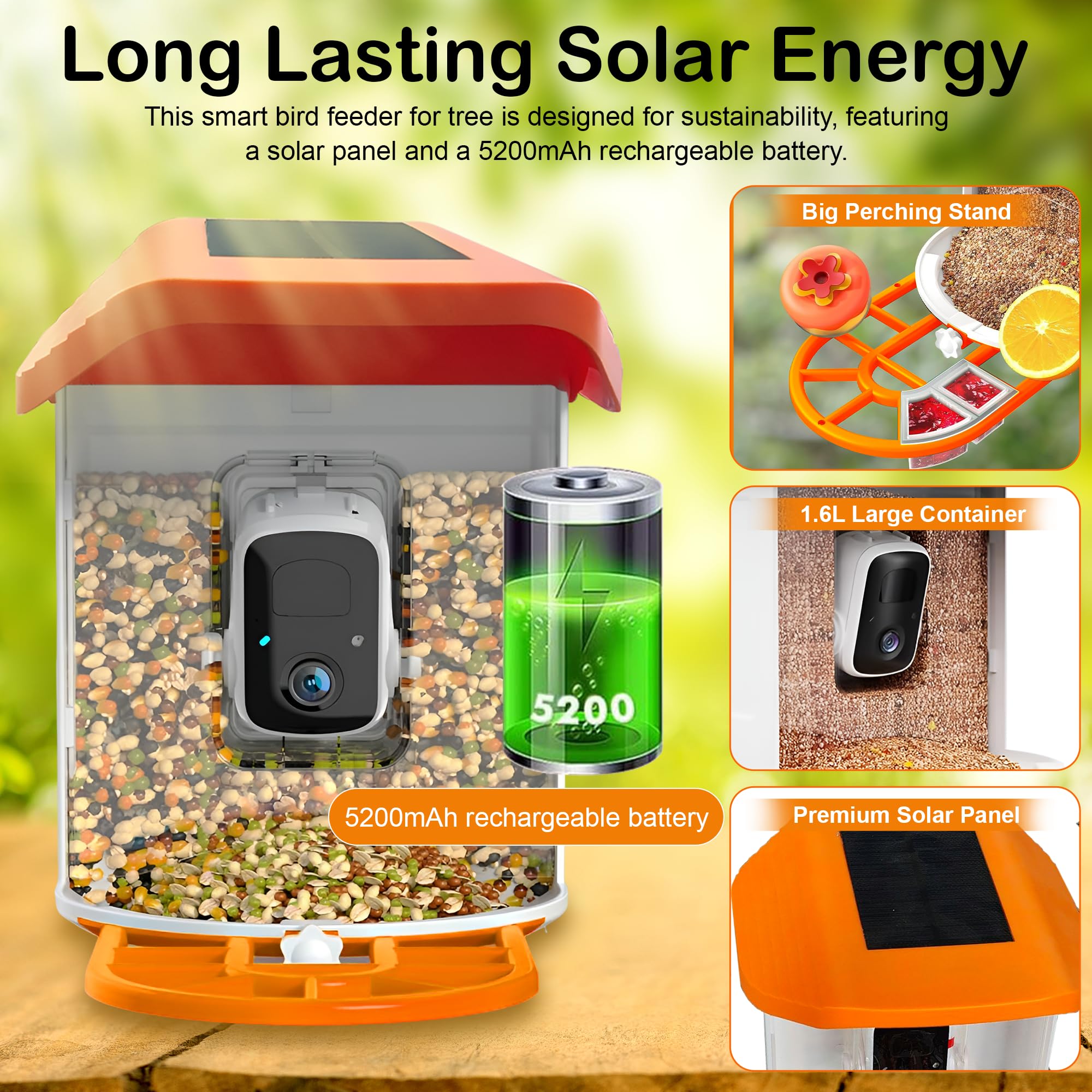 Comedero solar para pájaros con cámara de 145° de ancho 2K QHD, visión nocturna, aplicación – Comederos de pájaros colgantes exteriores con más de 11.000 especies de reconocimiento de especies de IA