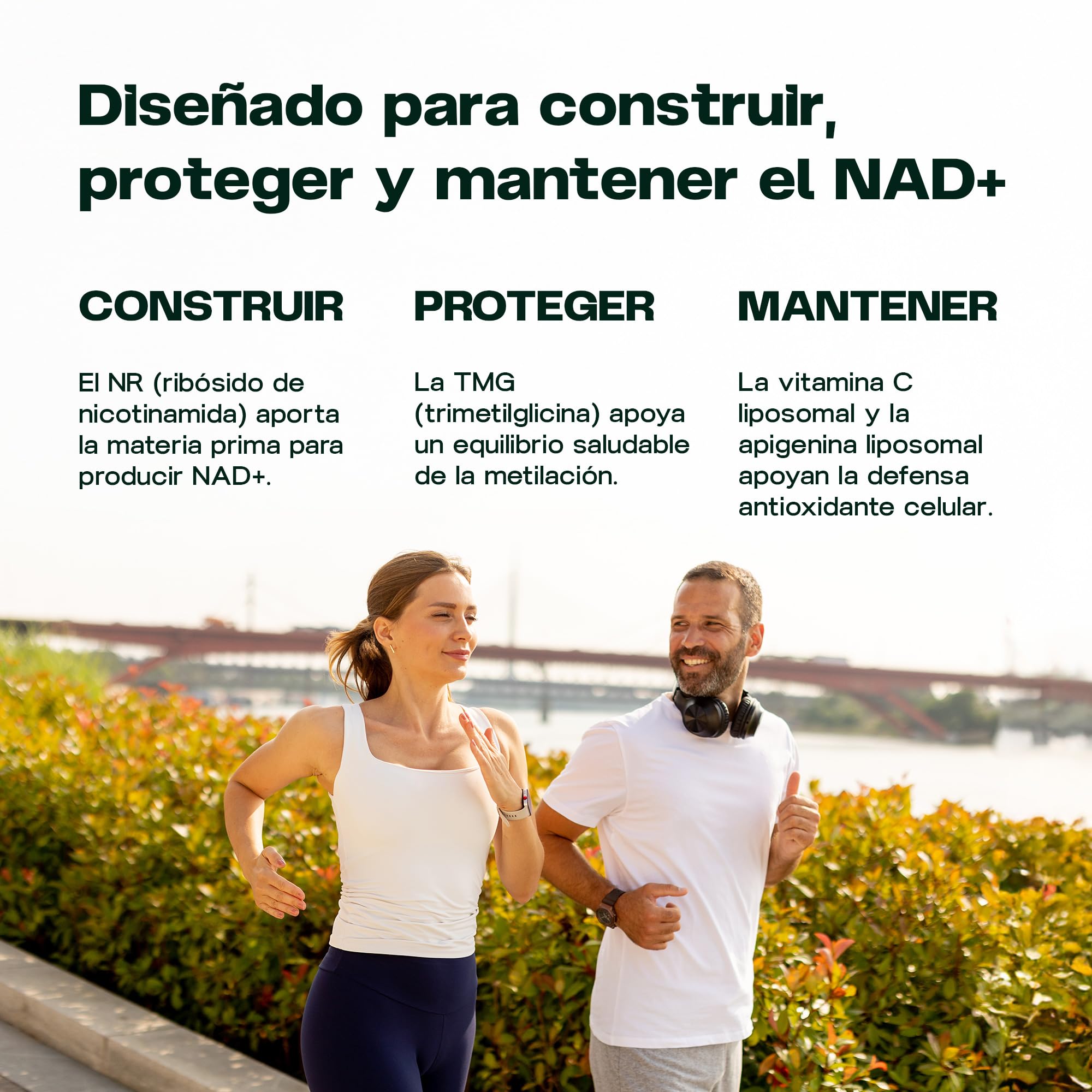 NAD+ Synergy – Envejecimiento saludable y energía celular | 400 mg de activos con NR, apigenina liposomal, TMG y vitamina C, formato 2 meses, EU